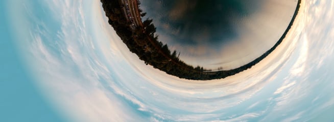 picture of fisheye